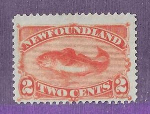 Newfoundland Sc #48   2c orange fish OG FVF