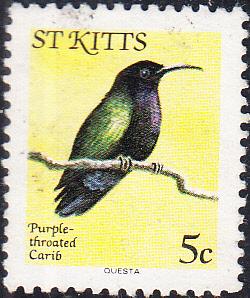 St. Kitts #51 Used