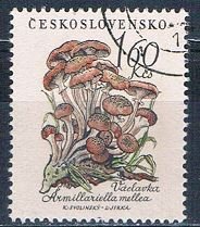 Czechoslovakia 886 Used Mushrooms 1958 (MV0284)