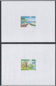 Senegal 2017 Mi.? Proof Luxury Environment Lion Monkey Bird Cinema Fish