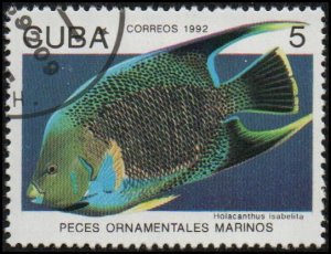 Cuba 3417 - Cto - 5c Queen Angelfish (1992)