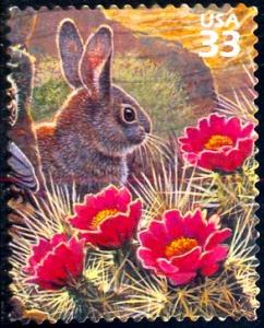 Rabbit, United States stamp SC#3293 used