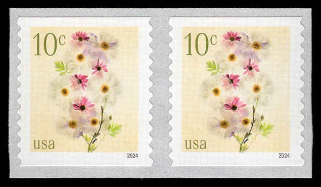 USA 5906 Mint (NH) Poppies & Coneflowers (Additional Postage 10c) Coil Pair