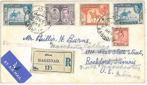 HORSES \ PALM TREES -  STAMPS on COVER - IRAQ 1951