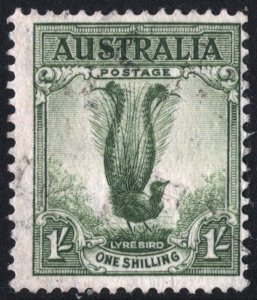 Australia SC#175 1s Lyre Bird (1941) Used