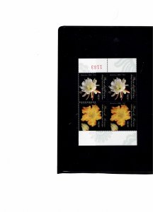 Mexico   2594   Flowers   MNH