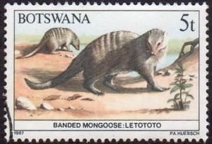 Botswana 408 - Used - 5t Banded Mongoose (1987) (cv $1.75)