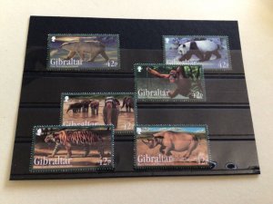 Gibraltar 2011 Endangered Animals mint never hinged  stamps  set A14034