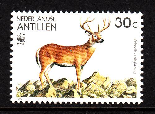Netherlands Antilles MNH Scott #668 30c Buck - WWF