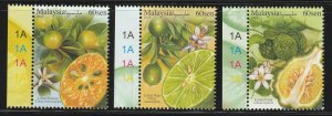 Malaysia 2018 Malaysian Citrus set of 3V margin plate MNH