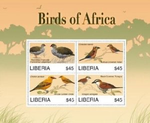 Liberia - 2007 - BIRDS OF AFRICA - Sheet of 4 Stamps - MNH