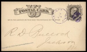 USA 1870s Michigan HASTINGS Violet Cancel Postal Card Cover 96349