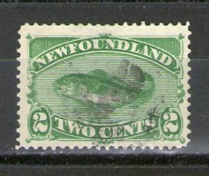 Newfoundland 46 used
