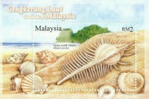 *FREE SHIP Seashells Of Malaysia 2008 Sea Marine Life Beach Ocean Shell (ms) MNH