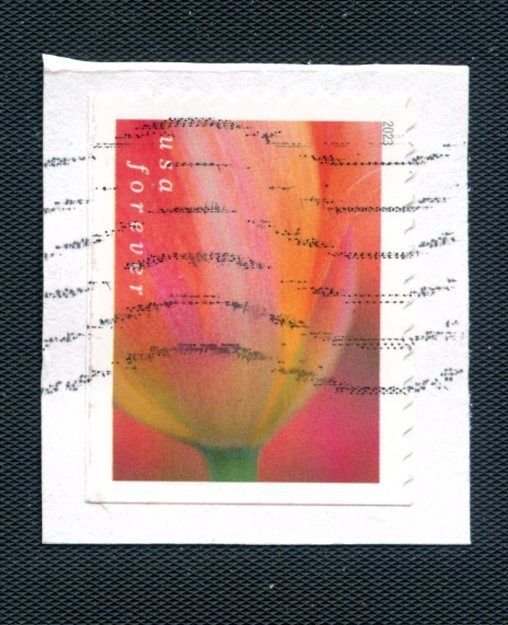 US Scott's #5783 Pink & Orange Tulip-Used-On Paper