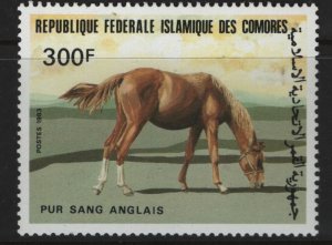 COMORES ISLANDS 584 MNH  HORSES