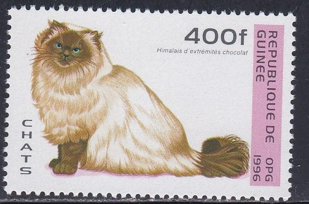 Guinea # 1364. Cats, NH