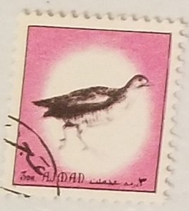 Ajman Birds Pink 3Dh