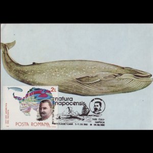 ROMANIA 1990 - Maximum Card - 3395 Polar Research-Racovita