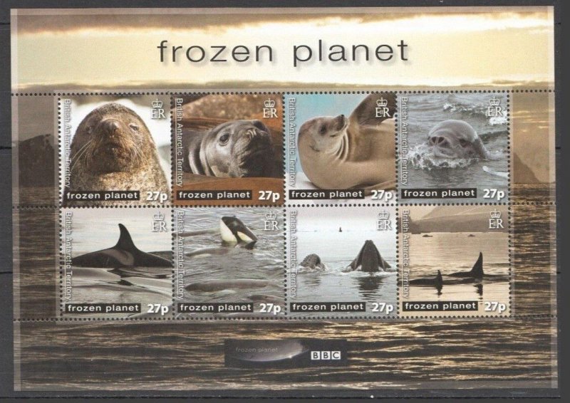 O1163 2011 British Antarctic Territory Frozen Planet Bbc Killer Whales Kb Mnh