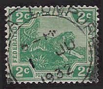 Federated Malay States #52 Used; 2c Tiger (1922)