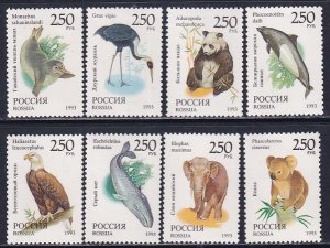 Russia 1993 Sc 6184-91 Eagle Koala Bear Panda Marine Life Fauna Stamp MNH