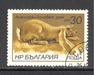 Bulgaria Sc # 3148 used (DT)