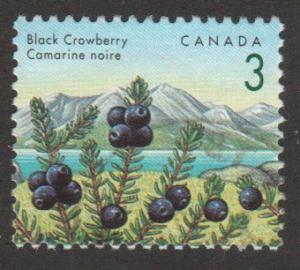 1351  Fruit Definitive