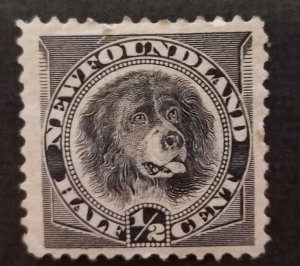 NEWFOUNDLAND Canada Scott 58 DOG Stamp Unused MH OG T6542