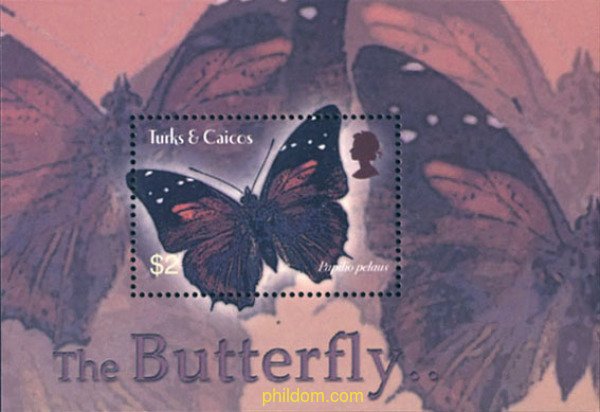 137816 MNH TURKS Y CAICOS 2003 MARIPOSAS