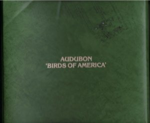 HAITI 1979 AUDUBON BIRDS OF AMERICA A SET OF 15 MINATURE SHEETS ON THE OCCASION