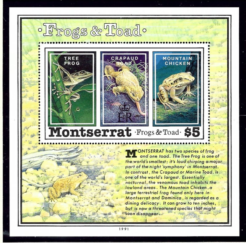 Montserrat 783 MNH 1991 Frogs and Toads S/S             (KA)