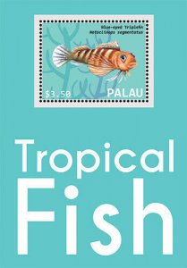 Palau - 2013 - Tropical Fish - Souvenir Sheet - MNH