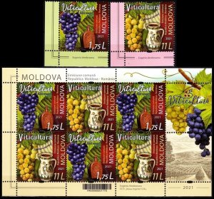 MOLDOVA 2021-17 FLORA: Viticulture. Grapes Wine. CORNER and S/Sheet. JOINT, MNH