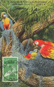 952 3c FLORIDA EVERGLADES - Parrot Jungle post card