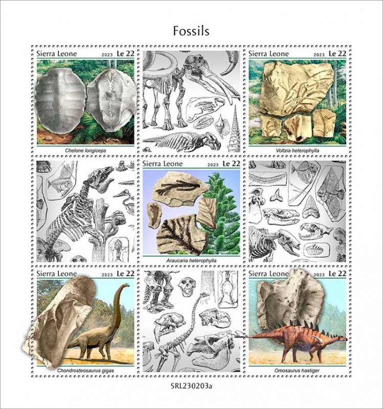 SIERRA LEONE - 2023 - Fossils - Perf 5v Sheet - Mint Never Hinged