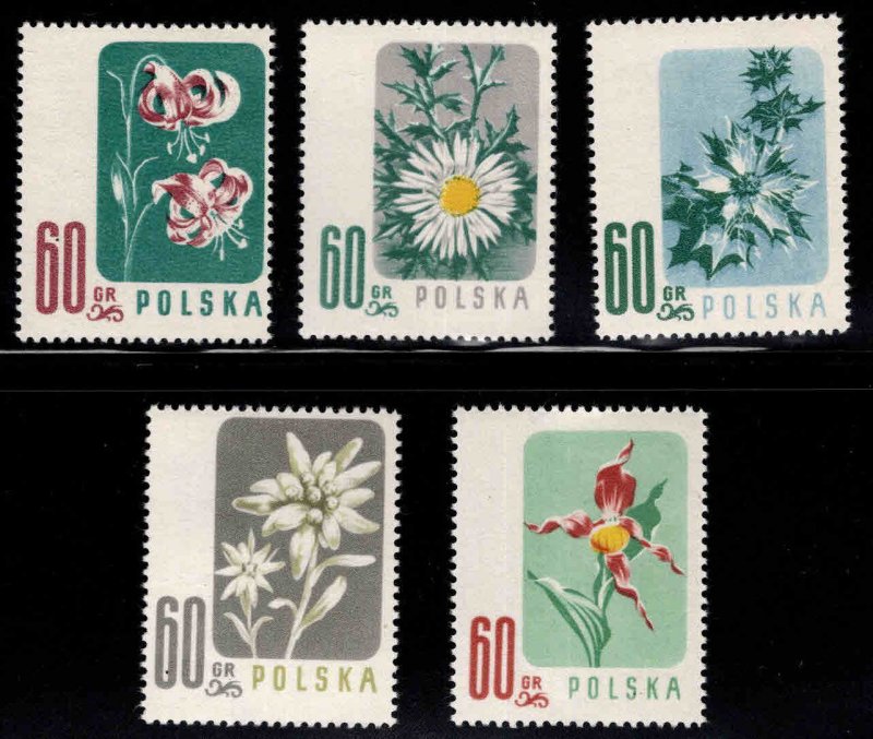 Poland Scott 781-785  Flower stamps set MNH**