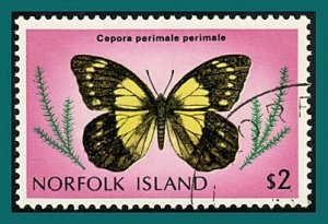 Norfolk Island 1977 Butterflies Moths 4, $2 used #217,SG195