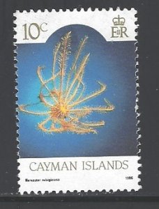 Cayman Islands Sc # 563 used (DT)