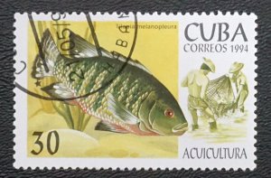 CUBA Sc# 3573 MARINE LIFE fish ocean sea 30c 1994  used / cto