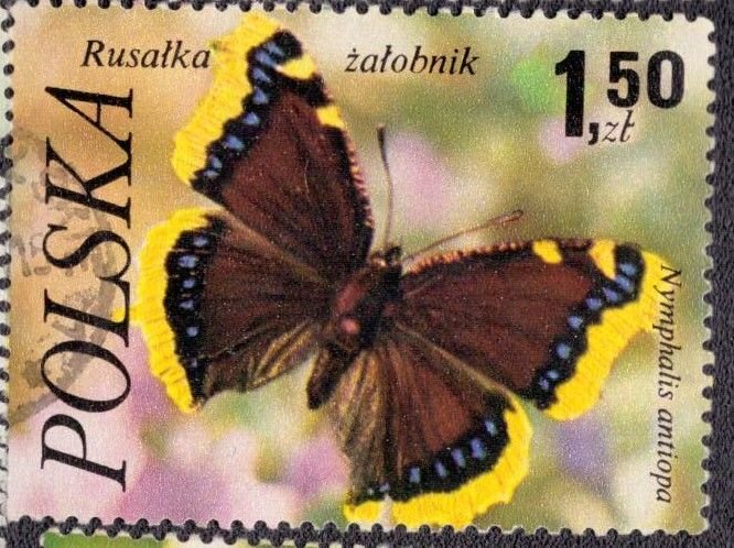 Poland 2230 1977 Used