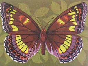 OMAN STAMP:1999 SC#411a COLORFUL LOVELY BEAUTIFUL BUTTERFLY MNH S/S SHEET