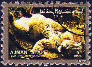 Ajman State 1973 Mi 2847A 1Rl Lions CTO