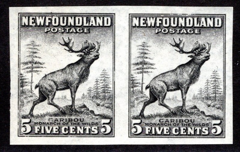 181p, NSSC, Die I, Caribou, 5c, IMPERF, MNHOG, Black, W/M Pos. 1, Newfoundland