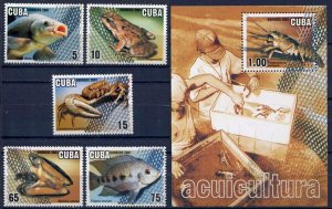 CUBA Sc# 4159-4164 MARINE LIFE ocean fish aquaculture CPL SET of 5 + SS 2001 MNH