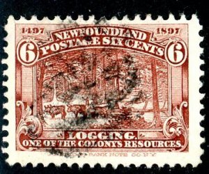 Newfoundland, Scott #66, Used