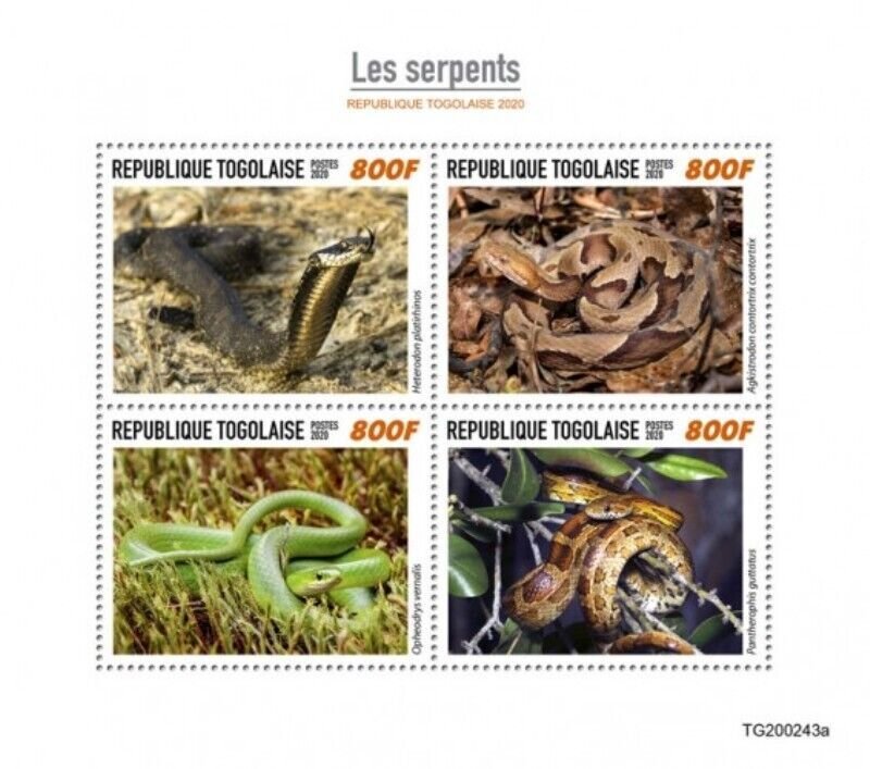 Togo - 2020 Snakes Copperhead, Corn - 4 Stamp Sheet - TG200243a
