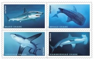 Sharks 2017 Forever Stamps