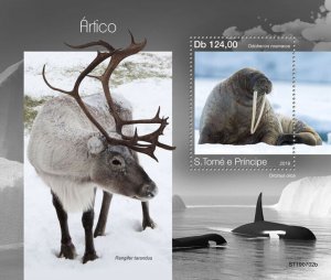 Sao Tome & Principe 2019 MNH Wild Animals Stamps Arctic Walrus 1v S/S