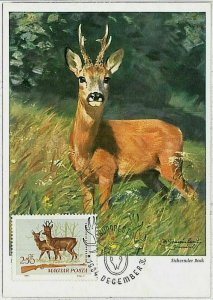 32114 - HUNGARY - POSTAL HISTORY - MAXIMUM CARD  Deer HUNTING FaunaI 1964